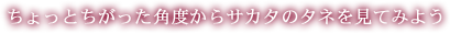 ちょっとちがった角度からサカタのタネを見てみよう