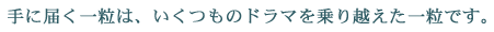 手に届く一粒は、いくつものドラマを乗り越えた一粒です。